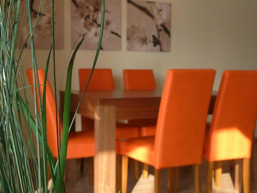 Apartamenty Wislany Brzeg Устрон Екстериор снимка